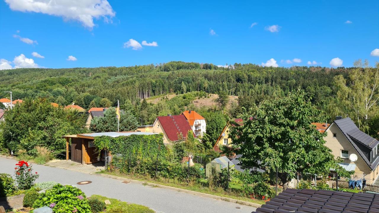 Ferienhaus Marx Sebnitz Exterior foto