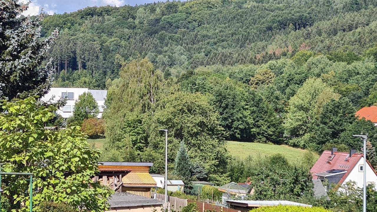 Ferienhaus Marx Sebnitz Exterior foto